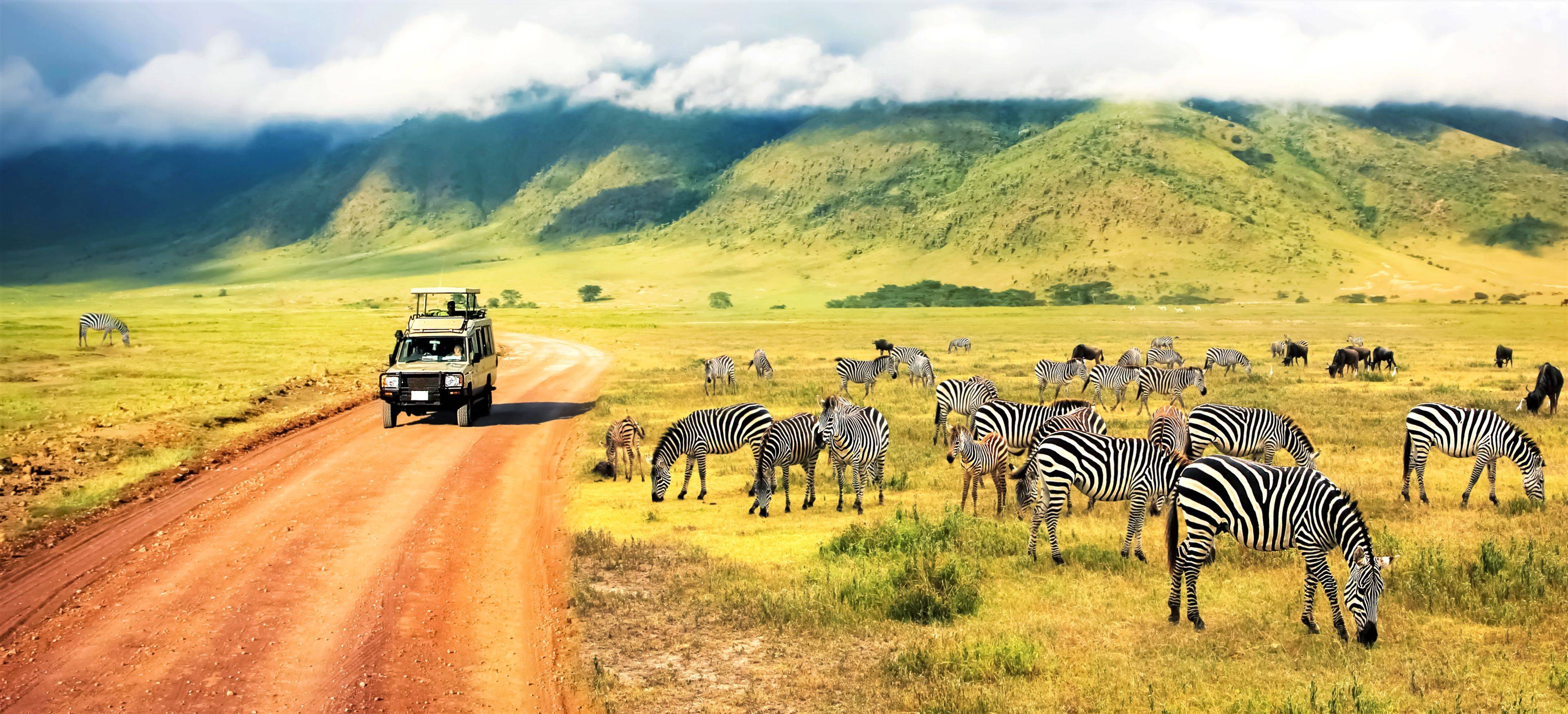Tanzania Safari Guide: Best Parks, Costs & Travel Tips