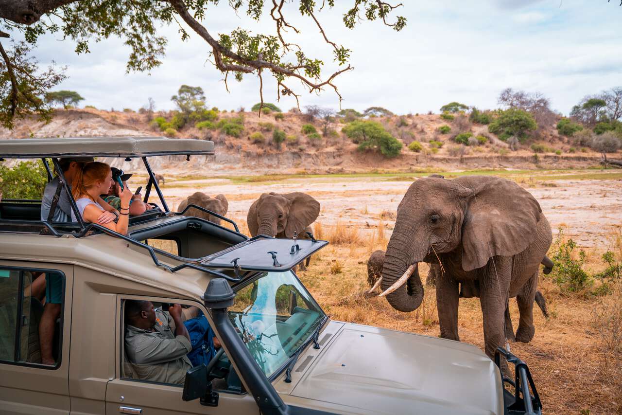 Why Tanzania Should Be on Your 2026 Travel Bucket List
