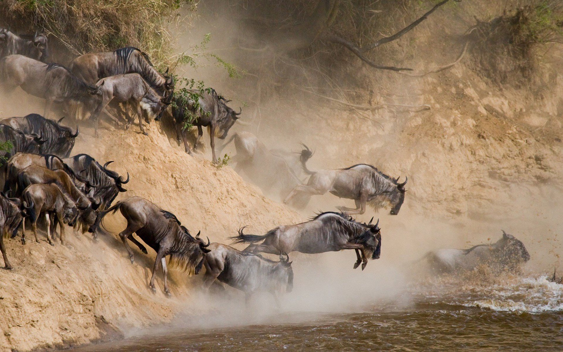 Serengeti Great Migration Guide: Best Time