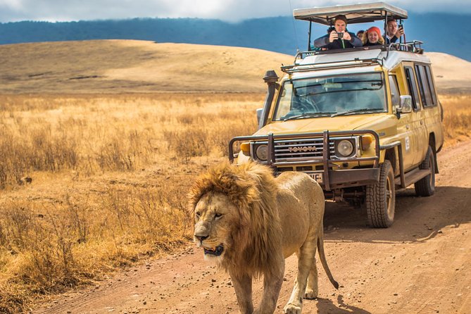 15 Things to Know Before Visiting Tanzania: Complete Travel Guide