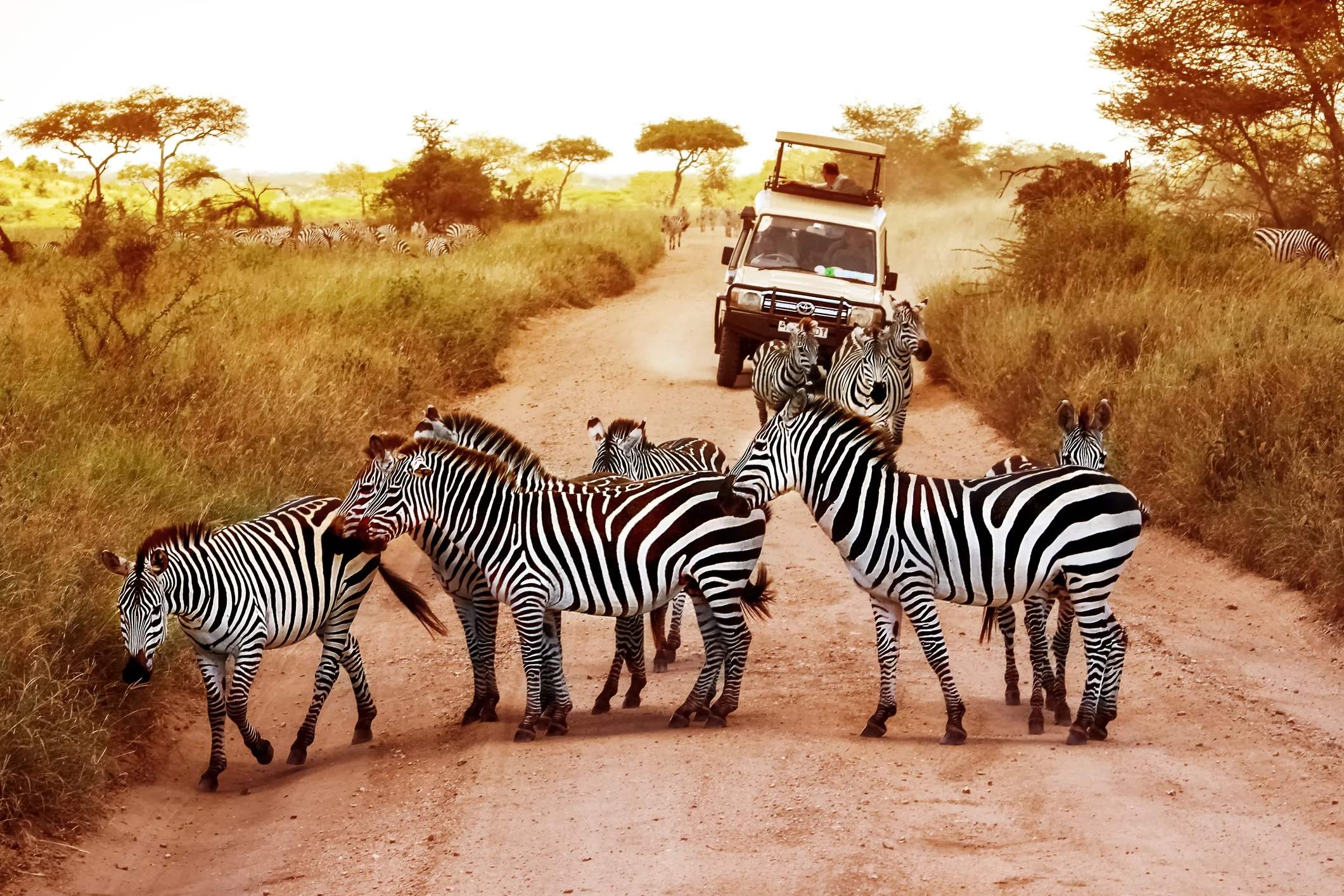 Arusha National Park 