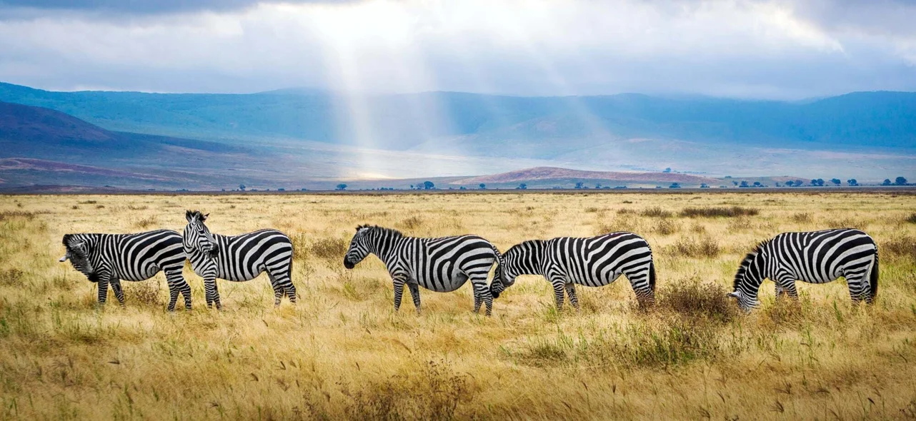 Ngorongoro Crater Conservation Area