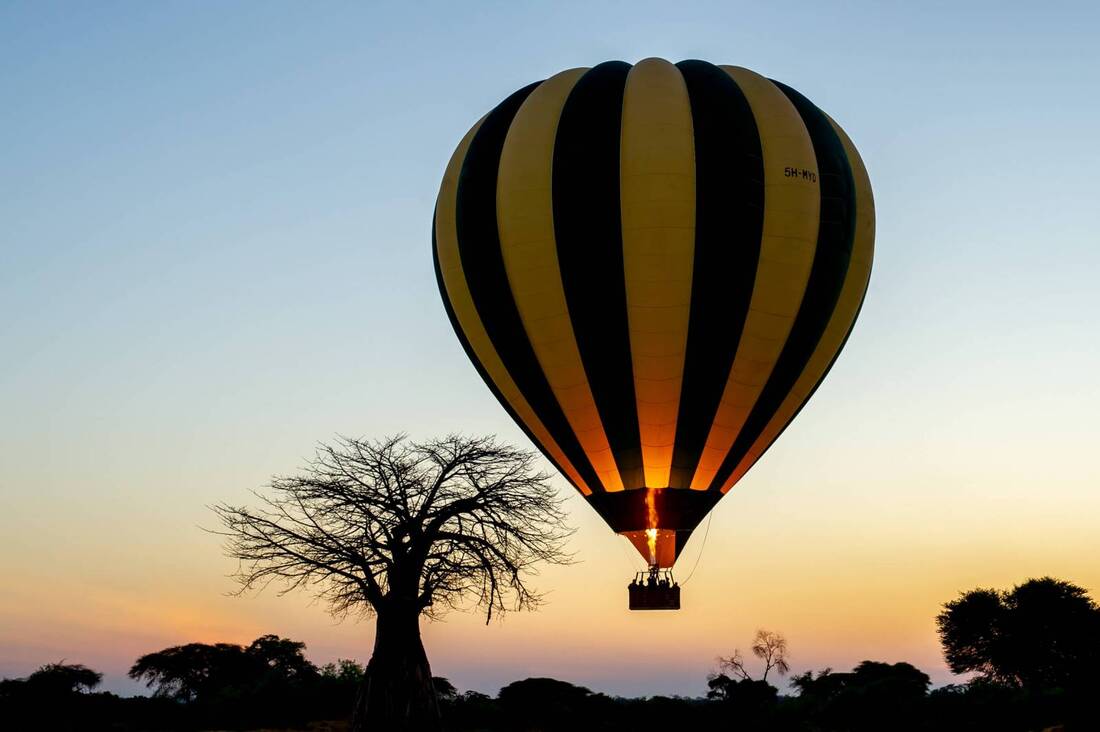 3-Day Luxury Fly-In Serengeti Safari & Hot Air Balloon
